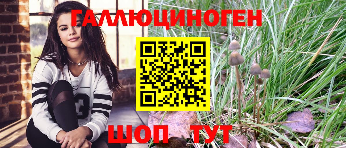 Галлюциногенные грибы мухоморы Дивногорск