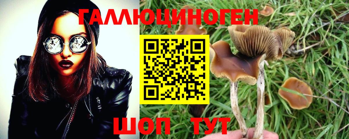 Псилоцибиновые грибы мухоморы  Вход с VPN  где купить наркоту  Дивногорск 